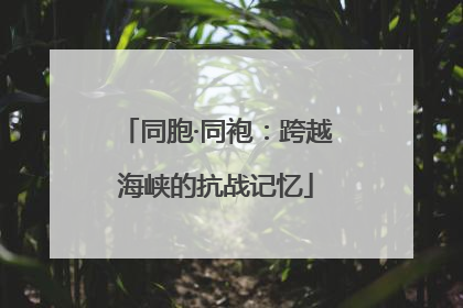 同胞·同袍：跨越海峡的抗战记忆