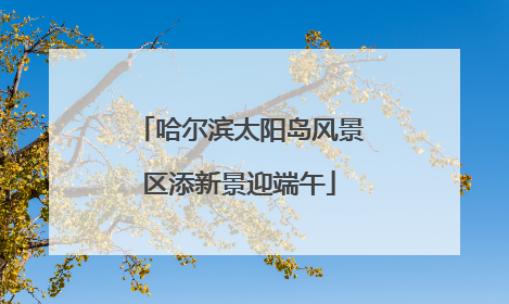 哈尔滨太阳岛风景区添新景迎端午
