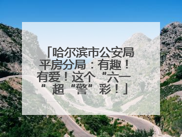 哈尔滨市公安局平房分局：有趣！有爱！这个“六一”超“警”彩！