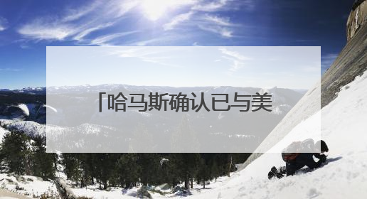 哈马斯确认已与美特使就加沙停火总体框架达成协议
