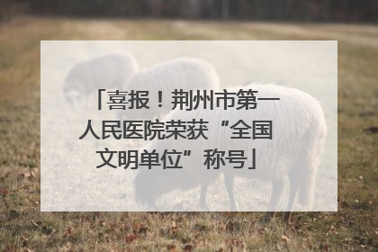 喜报！荆州市第一人民医院荣获“全国文明单位”称号
