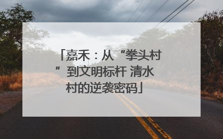 嘉禾：从“拳头村”到文明标杆 清水村的逆袭密码