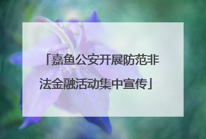 嘉鱼公安开展防范非法金融活动集中宣传