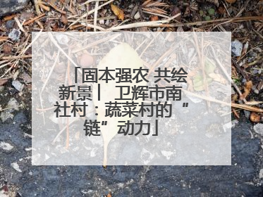 固本强农 共绘新景 ︳卫辉市南社村：蔬菜村的“链”动力