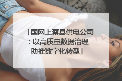 国网上蔡县供电公司：以高质量数据治理 助推数字化转型