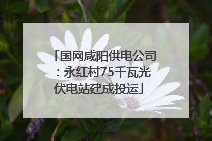 国网咸阳供电公司：永红村75千瓦光伏电站建成投运