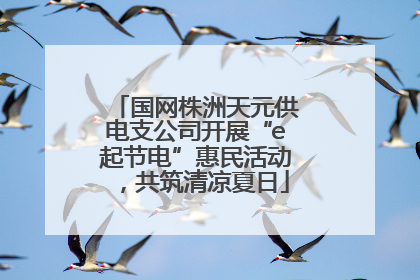 国网株洲天元供电支公司开展“e起节电”惠民活动，共筑清凉夏日