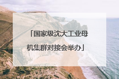 国家级沈大工业母机集群对接会举办