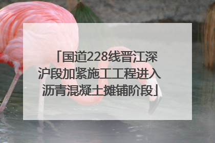 国道228线晋江深沪段加紧施工工程进入沥青混凝土摊铺阶段