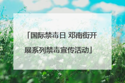 国际禁毒日 邓南街开展系列禁毒宣传活动