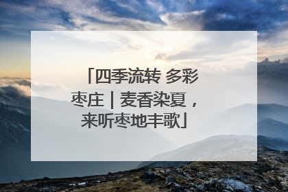 四季流转 多彩枣庄｜麦香染夏，来听枣地丰歌