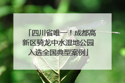 四川省唯一！成都高新区骑龙中水湿地公园入选全国典型案例