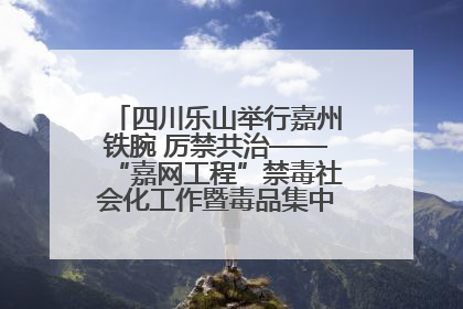 四川乐山举行嘉州铁腕 厉禁共治——“嘉网工程”禁毒社会化工作暨毒品集中销毁启动仪式