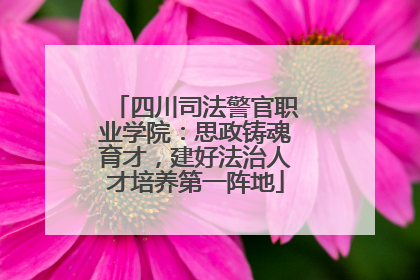 四川司法警官职业学院：思政铸魂育才，建好法治人才培养第一阵地