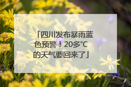四川发布暴雨蓝色预警！20多℃的天气要回来了