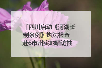 四川启动《河湖长制条例》执法检查 赴6市州实地暗访抽查｜四川人大之声