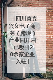 四川宜宾兴文电子商务（跨境）产业园开园 已吸引20余家企业入驻