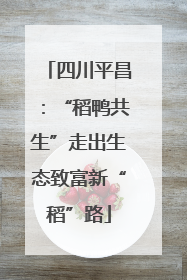 四川平昌：“稻鸭共生”走出生态致富新“稻”路