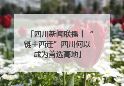 四川新闻联播丨“链主西迁”四川何以成为首选高地