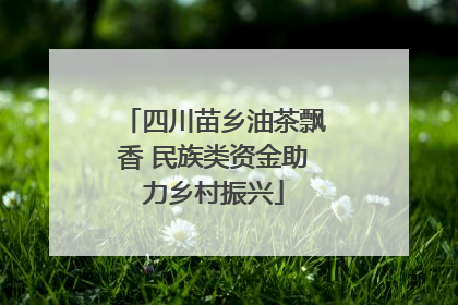 四川苗乡油茶飘香 民族类资金助力乡村振兴