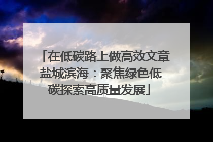 在低碳路上做高效文章 盐城滨海：聚焦绿色低碳探索高质量发展