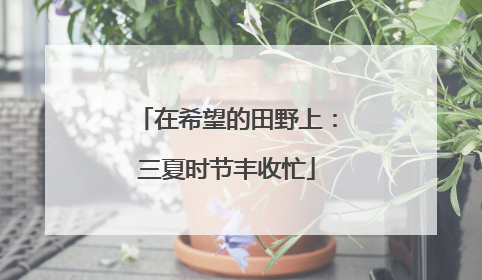 在希望的田野上：三夏时节丰收忙