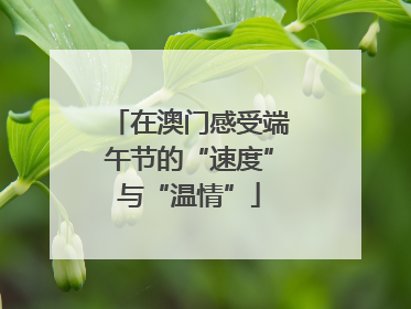 在澳门感受端午节的“速度”与“温情”