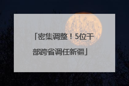 密集调整！5位干部跨省调任新疆