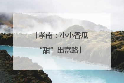 孝南：小小香瓜 “甜”出富路