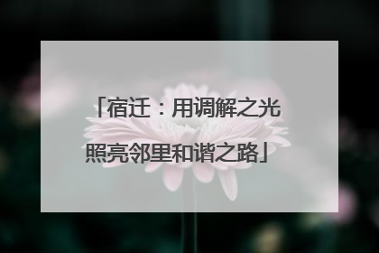 宿迁：用调解之光照亮邻里和谐之路