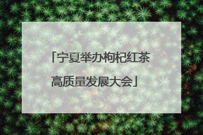 宁夏举办枸杞红茶高质量发展大会