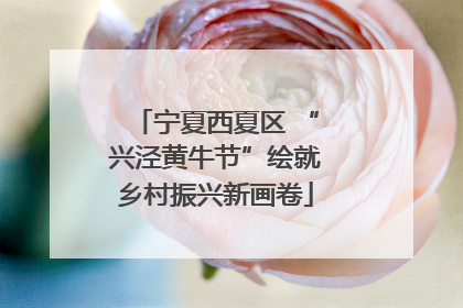 宁夏西夏区 “兴泾黄牛节”绘就乡村振兴新画卷