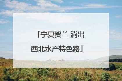 宁夏贺兰 淌出西北水产特色路