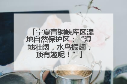宁夏青铜峡库区湿地自然保护区：“湿地壮阔，水鸟振翅，顶有趣呢！”