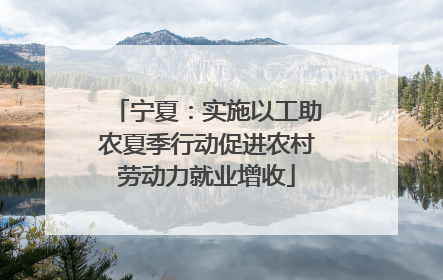 宁夏：实施以工助农夏季行动促进农村劳动力就业增收
