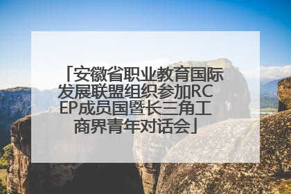 安徽省职业教育国际发展联盟组织参加RCEP成员国暨长三角工商界青年对话会