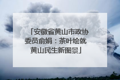安徽省黄山市政协委员俞娟：茶叶绘就黄山民生新图景