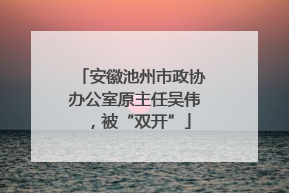 安徽池州市政协办公室原主任吴伟，被“双开”