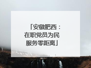 安徽肥西：在职党员为民服务零距离