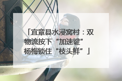 宜章县水浸窝村：双物流按下“加速键” 杨梅锁住“枝头鲜”