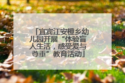 宜宾江安橙乡幼儿园开展“体验盲人生活，感受爱与尊重”教育活动
