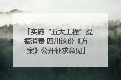 实施“五大工程”提振消费 四川这份《方案》公开征求意见