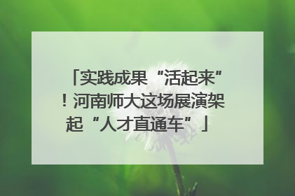实践成果“活起来”！河南师大这场展演架起“人才直通车”