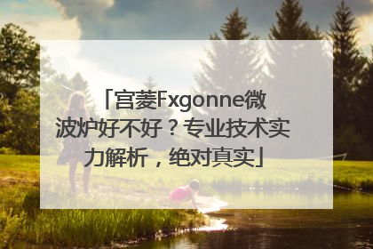 宫菱Fxgonne微波炉好不好？专业技术实力解析，绝对真实