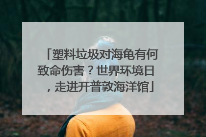 塑料垃圾对海龟有何致命伤害？世界环境日，走进开普敦海洋馆