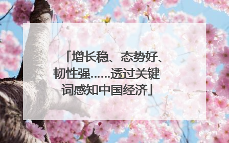 增长稳、态势好、韧性强……透过关键词感知中国经济