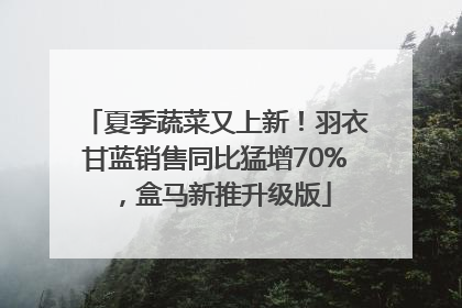 夏季蔬菜又上新！羽衣甘蓝销售同比猛增70%，盒马新推升级版