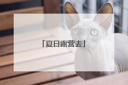 夏日露营去