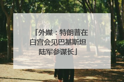外媒：特朗普在白宫会见巴基斯坦陆军参谋长