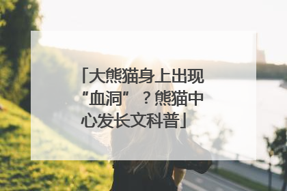 大熊猫身上出现“血洞”？熊猫中心发长文科普